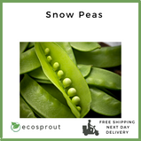 Snow Peas | Chicharo |   200g