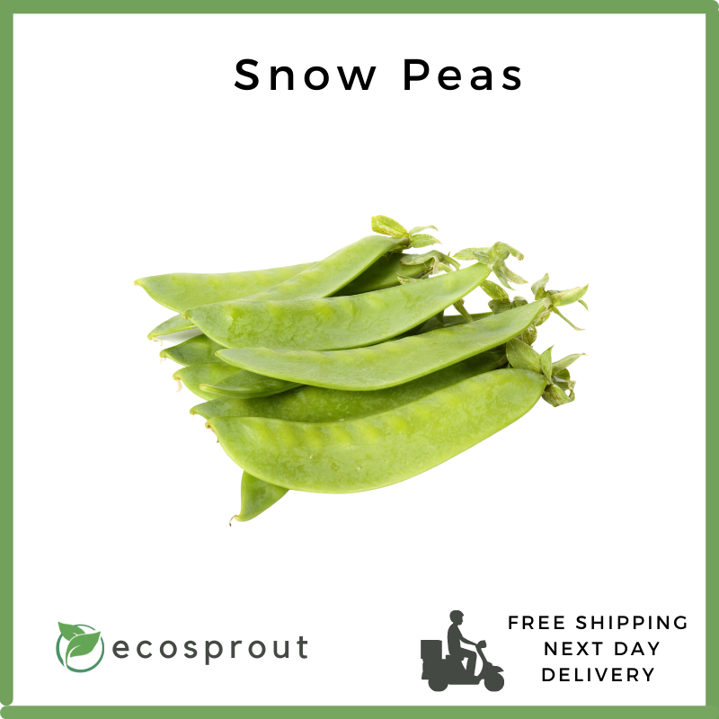 Snow Peas | Chicharo |   200g