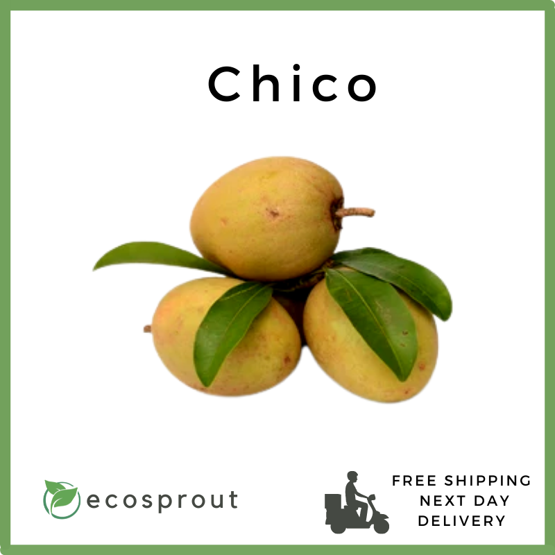 Chico  | 1KG