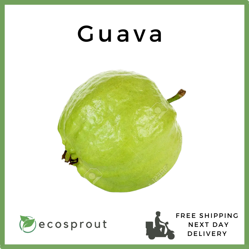Guava | Piece