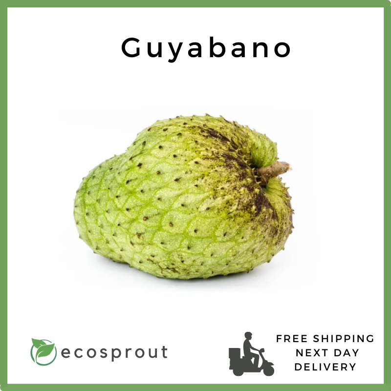 Guyabano | Soursop | KG