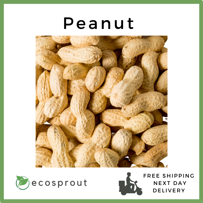 Peanut with Shell Raw | KG