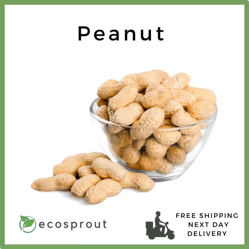 Peanut with Shell Raw | KG