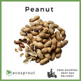 Peanut with Shell Raw | KG