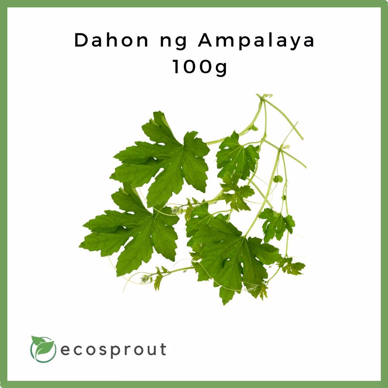 Dahon ng Ampalaya | Bitter Gourd Leaves | 100g