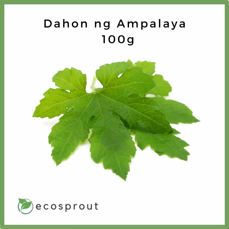 Dahon ng Ampalaya | Bitter Gourd Leaves | 100g