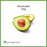 Avocado | 500g-1kg