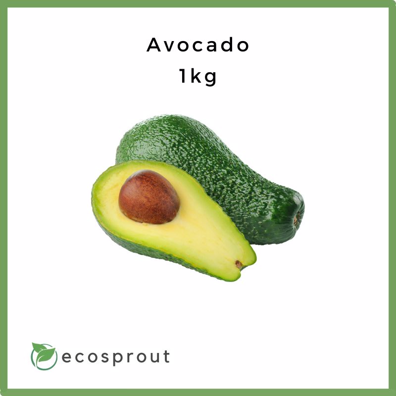 Avocado | 500g-1kg