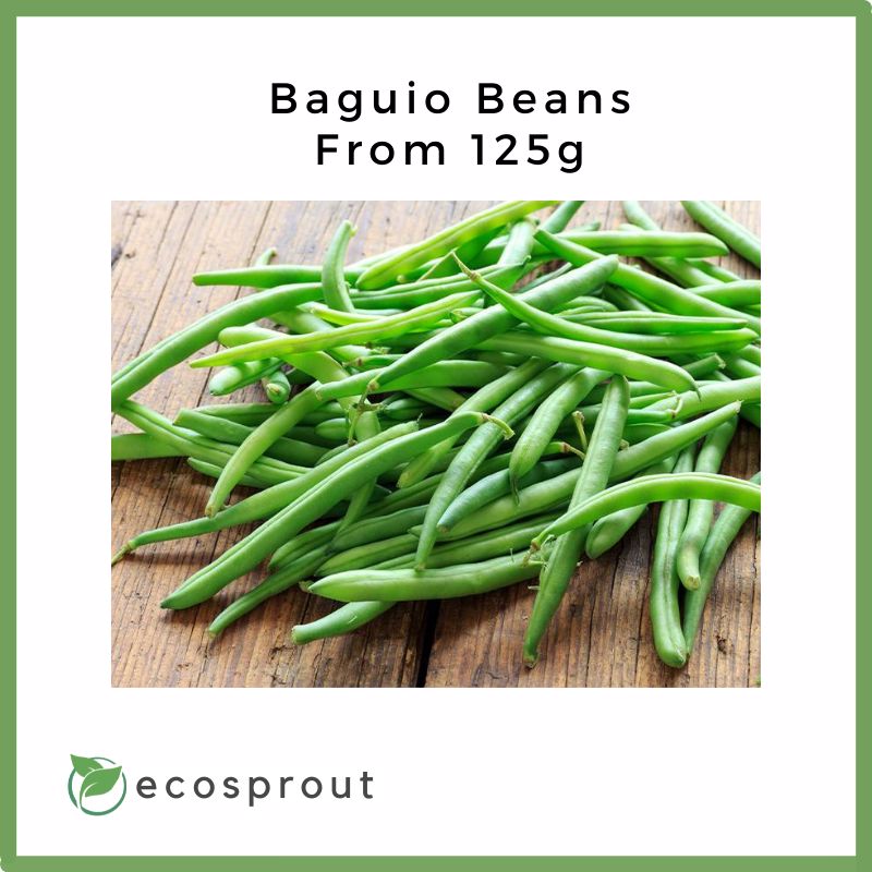 Baguio Beans | Snap Beans | 250g