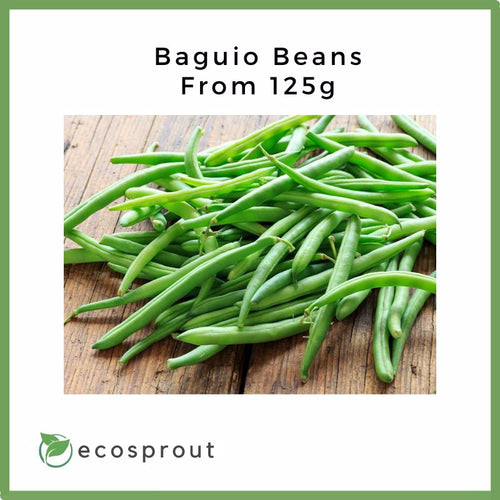 Baguio Beans | Snap Beans | 250g