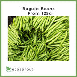 Baguio Beans | Snap Beans | 250g