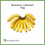 Banana Lakatan | 1kg