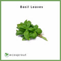 Basil Leaves | 50g