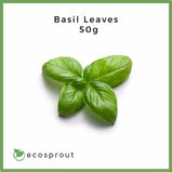 Basil Leaves | 50g