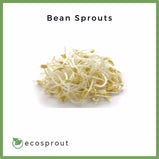 Bean Sprouts | From 250g