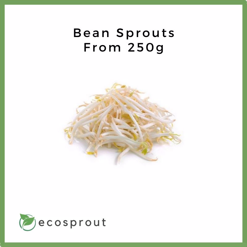 Bean Sprouts | From 500g