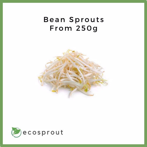 Bean Sprouts | From 500g