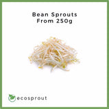 Bean Sprouts | From 250g