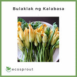 Bulaklak ng Kalabasa | Fresh Pumpkin Leaves | 50g