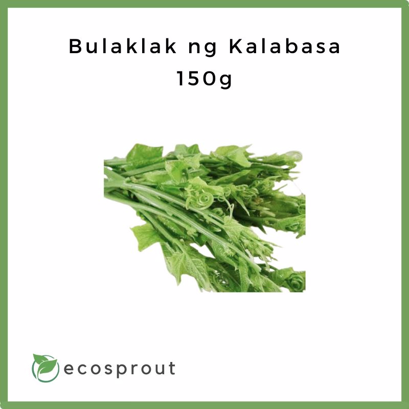 Bulaklak ng Kalabasa | Fresh Pumpkin Leaves | 50g