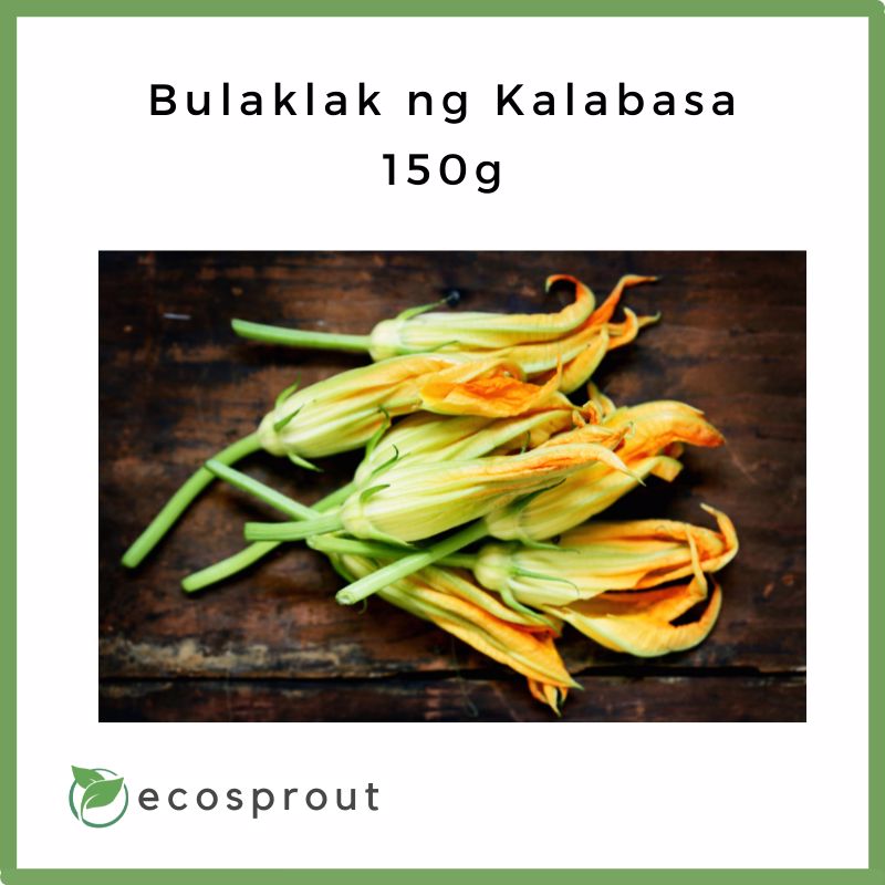 Fresh Bulaklak ng Kalabasa For Delivery Near Me – Ecosprout