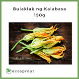 Bulaklak ng Kalabasa | Fresh Pumpkin Leaves | 50g