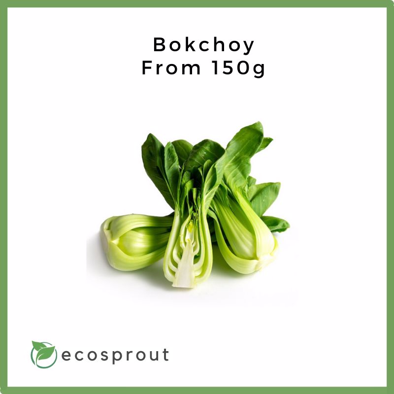Fresh_Bokchoy