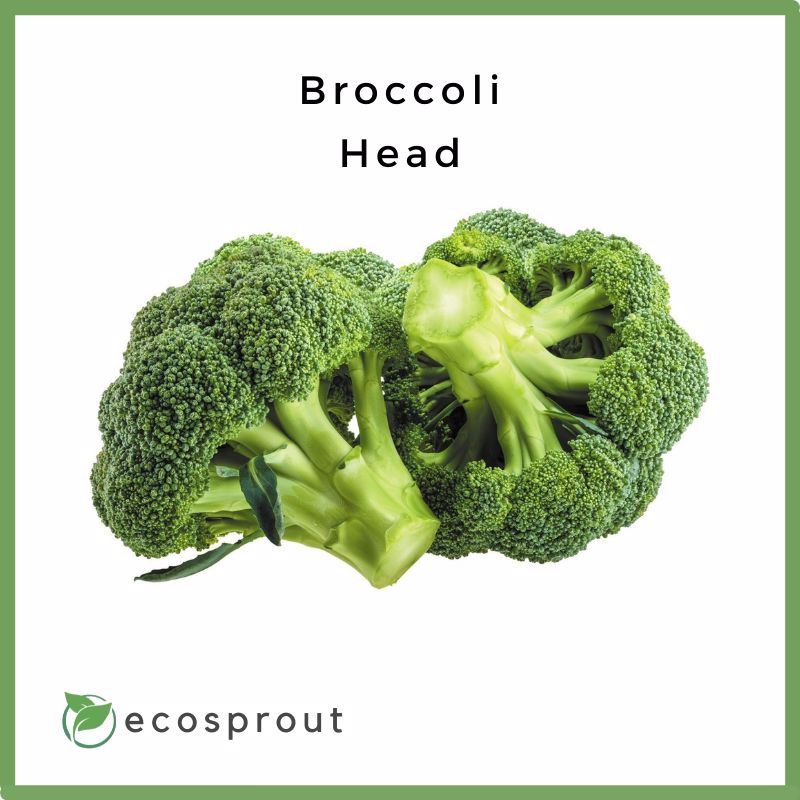 Fresh_Broccoli