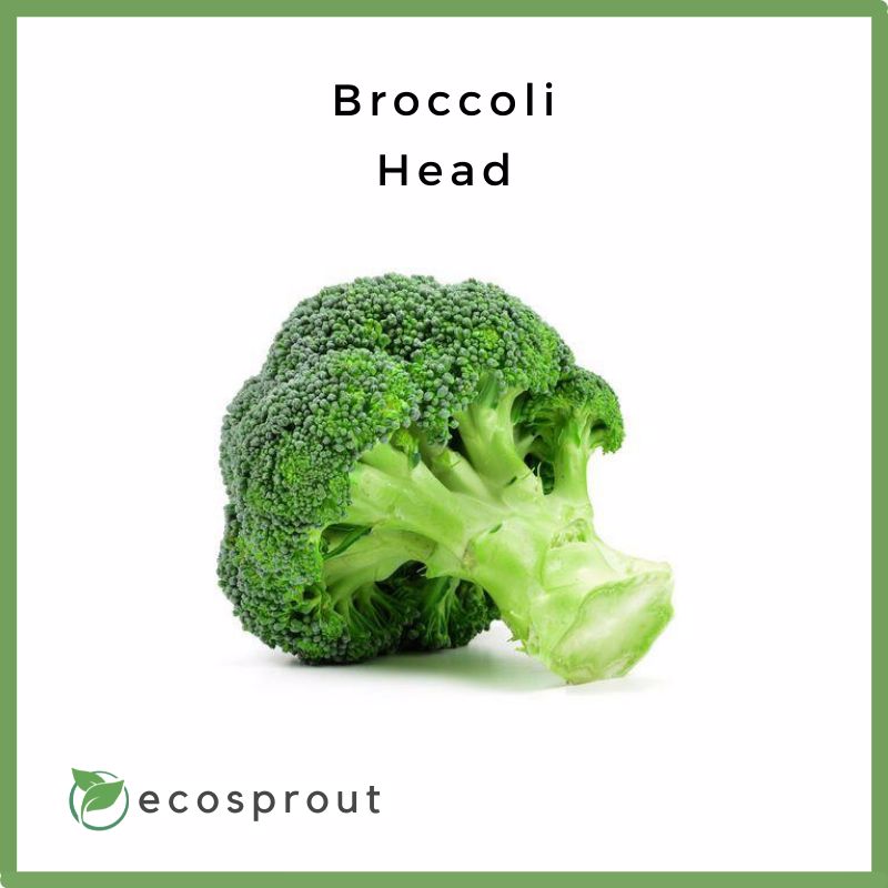 Fresh_Broccoli