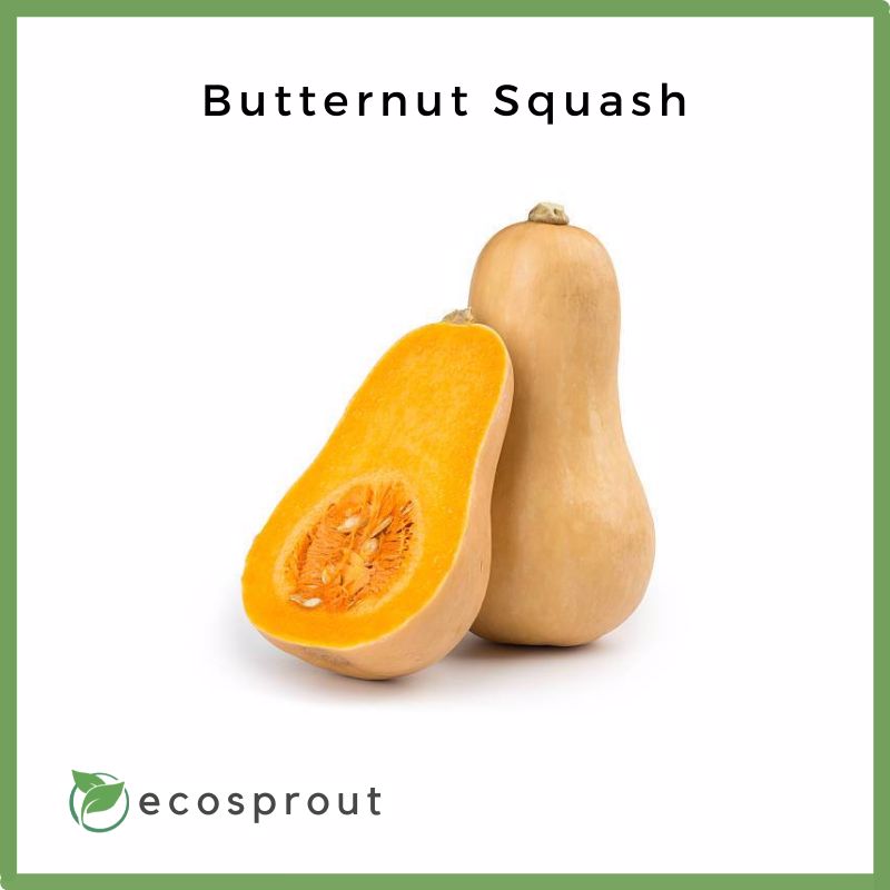 Butternut Squash | Piece