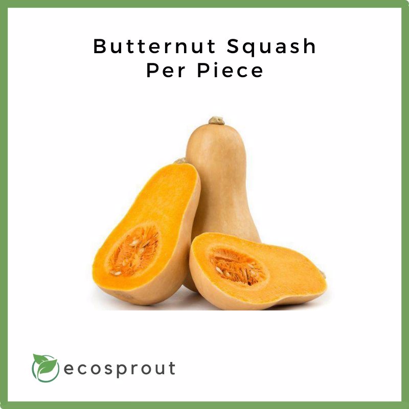 Butternut Squash | Piece
