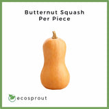 Butternut Squash | Piece