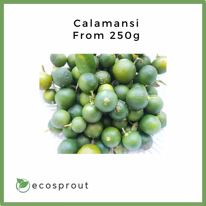 Fresh_Calamansi