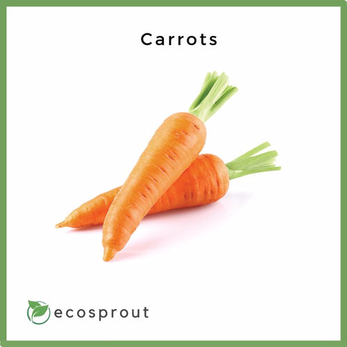 Carrots | From 250g- 1KG