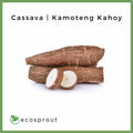 Cassava | Kamoteng Kahoy | From 500g
