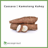 Cassava | Kamoteng Kahoy | From 500g