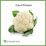 Cauliflower | Head