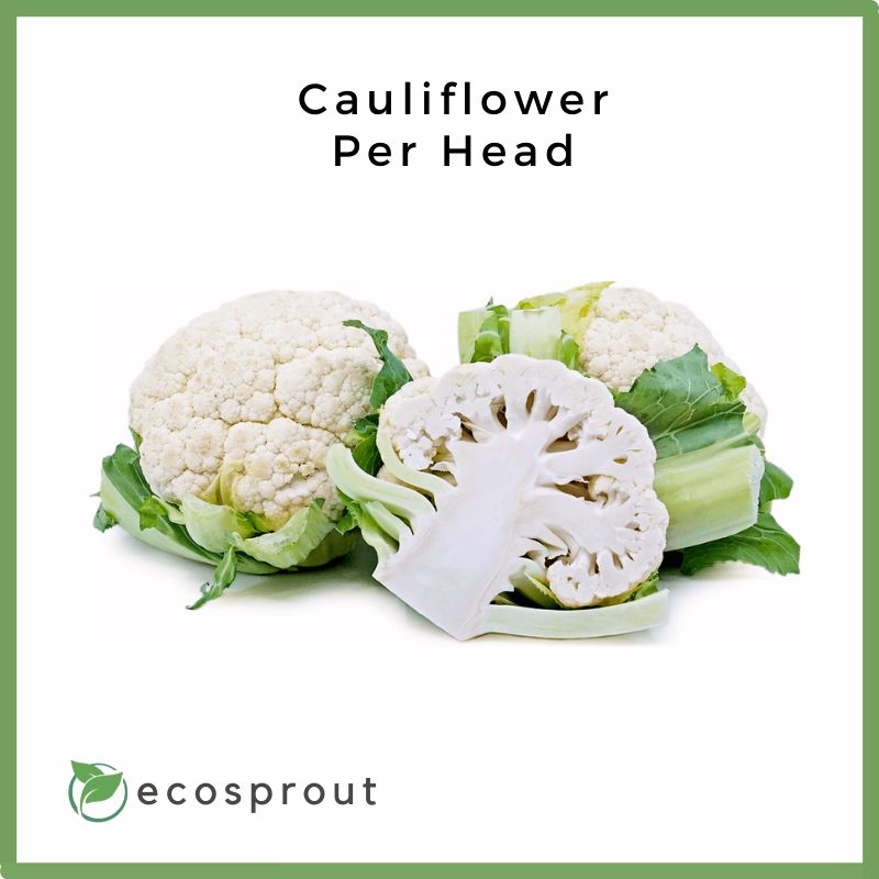 Cauliflower | Head
