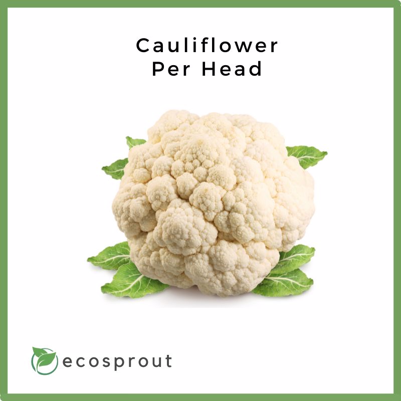 Cauliflower | Head