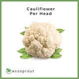 Cauliflower | Head