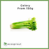 Celery | 150g