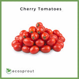 Cherry Tomatoes | 100g