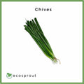 Chives | Kuchay | 100g