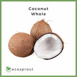 Coconut | Niyog | Whole | Grated | 500g