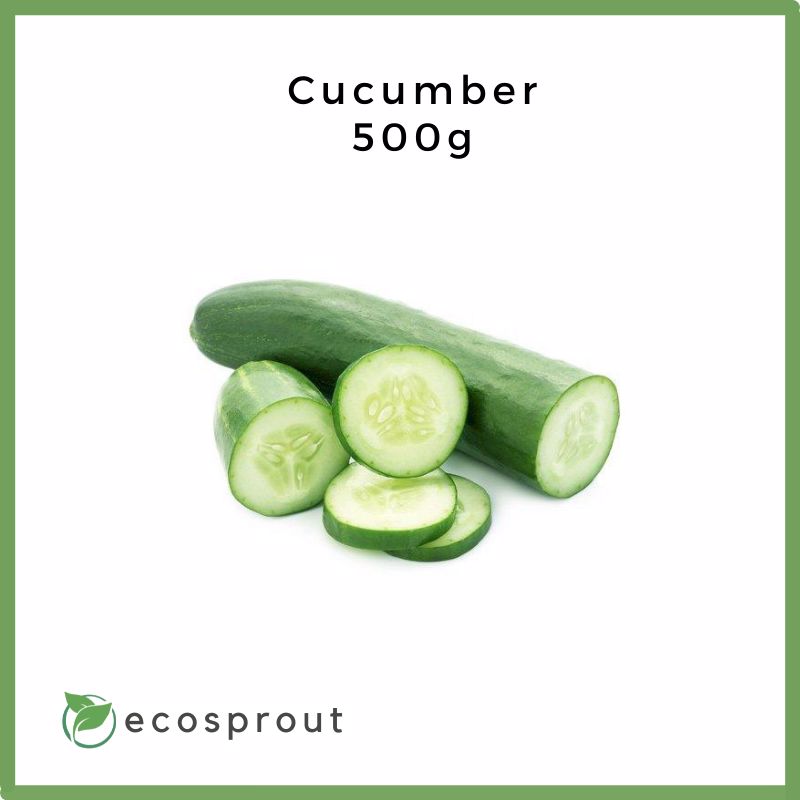 Cucumber |250g - 1KG