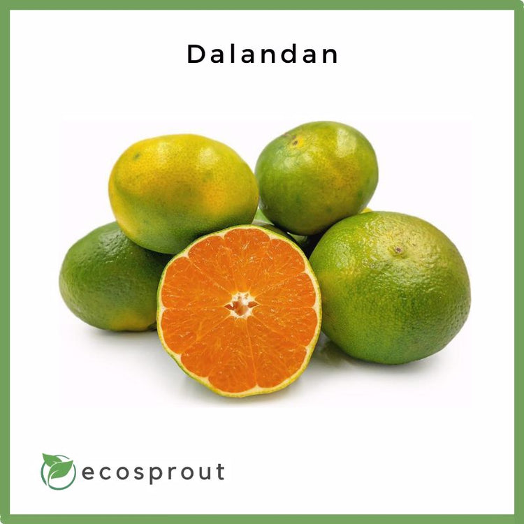 Dalandan | from 500g-1kg
