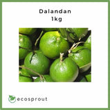 Dalandan | from 500g-1kg