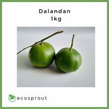 Dalandan | from 500g-1kg