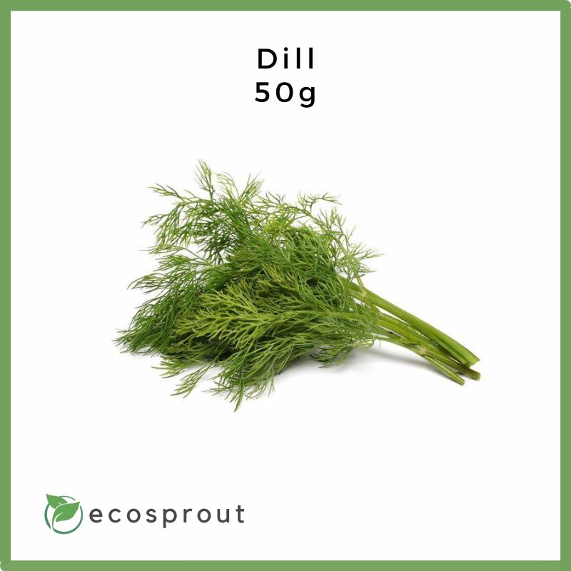 Dill | 50g
