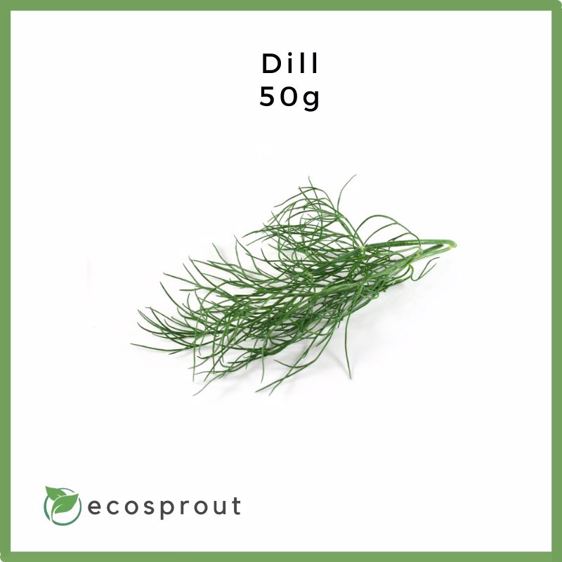 Dill | 50g